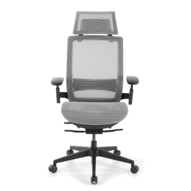 chaise de bureau gris apollo maille accoudoirs reglables 3d soutien lombaire appui tete 3
