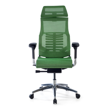 chaise ergonomique vert structure noire maille accoudoirs reglables 5d soutien lombaire appui tete 3