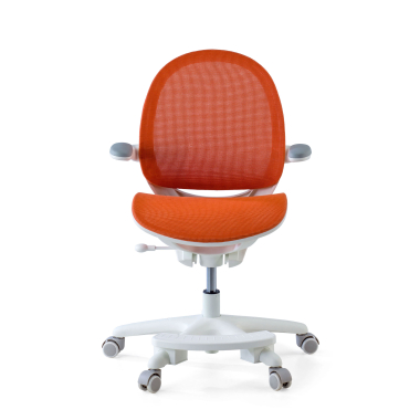 Siège ergonomique