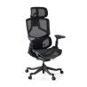 Chaise de bureau ergonomique AeroMax, double support lombaire