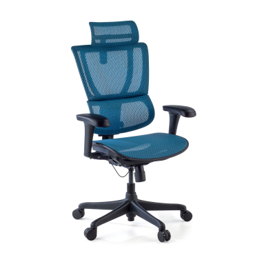 chaise ergonomique bleu chaise de bureau maille accoudoirs reglables 3d soutien lombaire appui tete 1