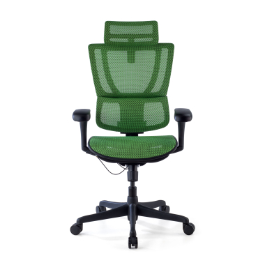 chaise ergonomique vert chaise de bureau maille accoudoirs reglables 3d soutien lombaire appui tete 3