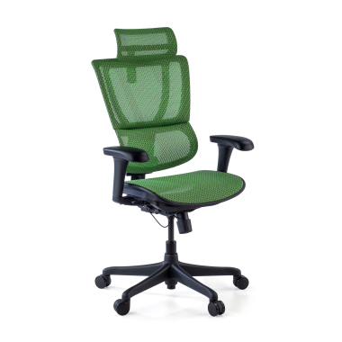 chaise ergonomique vert chaise de bureau maille accoudoirs reglables 3d soutien lombaire appui tete 1