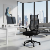 Chaise de bureau...