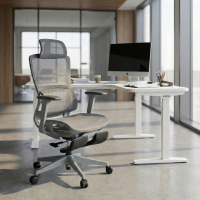 Chaise de Bureau Ergonomique avec repose-pieds Balance Pro, Bras 3D