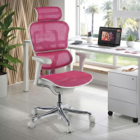 Chaise de direction ergonomique Ergohuman Edition I, Structure blanche