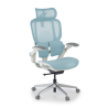 Chaise ergonomique Erghos One, orthopédique, double soutien lombaire