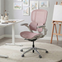 Chaise ergonomique Erghos One, orthopédique, double soutien lombaire