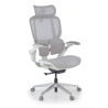 Chaise ergonomique avec appui-tête Erghos One, orthopédique, double soutien lombaire