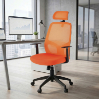 Chaise d'Ordinateur Argos...