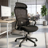 Chaise de Bureau Ergonomique Nebula, coussin lombaire