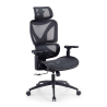 Chaise de bureau ergonomique Velstrom avec soutien lombaire et accoudoirs 3D