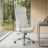Fauteuil de direction...