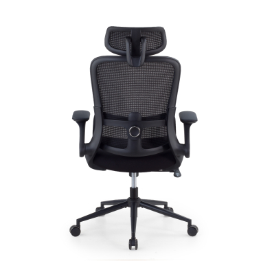 chaise ergonomique noir dexter maille accoudoirs rabattables soutien lombaire appui tete 7