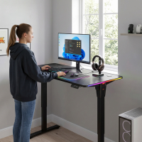 Bureau gaming assis-debout NewLevel avec moteur électrique, 140x60cm