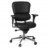 Chaise Ergonomique Ergohuman, modèle premium, aluminium, maille