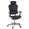 Chaise Ergonomique Ergohuman, modèle premium, aluminium, maille