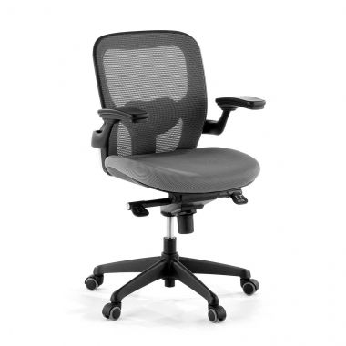 chaise ergonomique gris chaise de bureau maille accoudoirs mobiles soutien lombaire 1