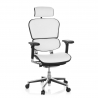 Chaise Ergonomique Ergohuman, modèle premium, aluminium, maille