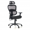 Chaise Ergonomique Ergocity, avec coussin lombaire et accoudoirs 3D