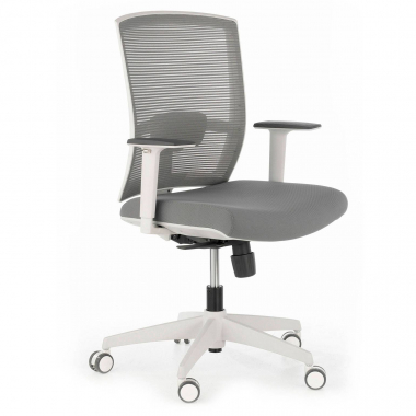 chaise ergonomique blanc gris structure blanche maille accoudoirs reglables 1d soutien lombaire 1