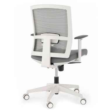 chaise ergonomique blanc gris structure blanche maille accoudoirs reglables 1d soutien lombaire 8