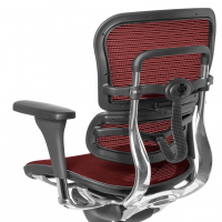 Chaise Ergonomique Ergohuman, modèle premium, aluminium, maille