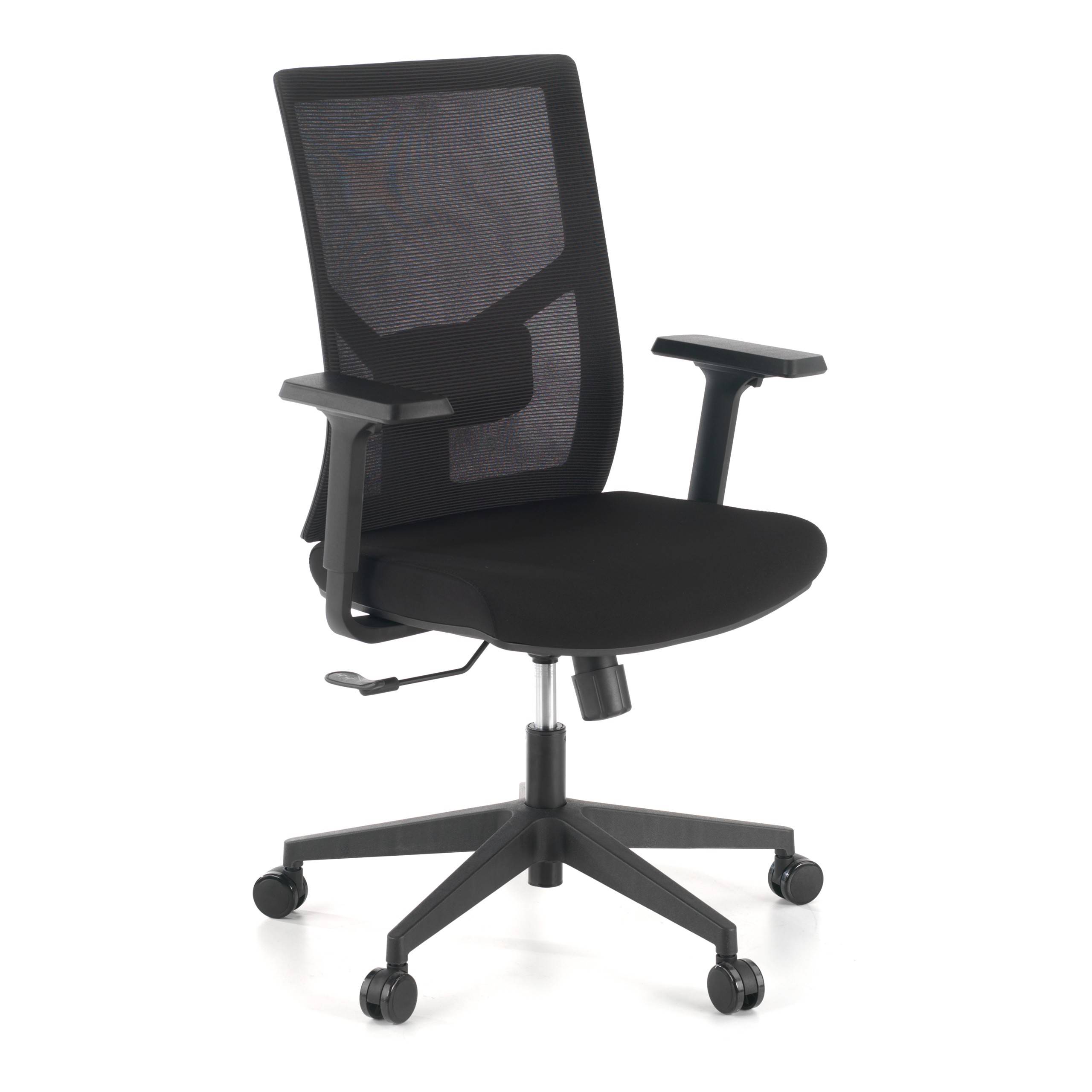 Chaise de Bureau Ergonomique Verdi, accoudoirs ajustables, soutien lombaire