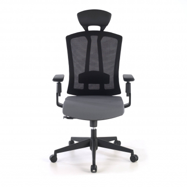 chaise ergonomique gris ridley maille accoudoirs reglables 3d soutien lombaire appui tete 4