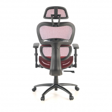 Chaise Ergonomique Ergocity, avec coussin lombaire et accoudoirs 3D