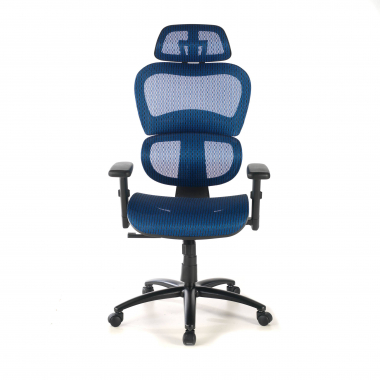 chaise ergonomique bleu structure noire maille accoudoirs reglables 3d double soutien lombaire appui tete 5