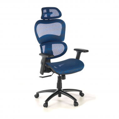 chaise ergonomique bleu structure noire maille accoudoirs reglables 3d double soutien lombaire appui tete 1