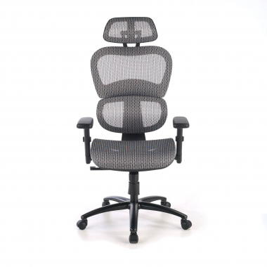 chaise ergonomique gris structure noire maille accoudoirs reglables 3d double soutien lombaire appui tete 5