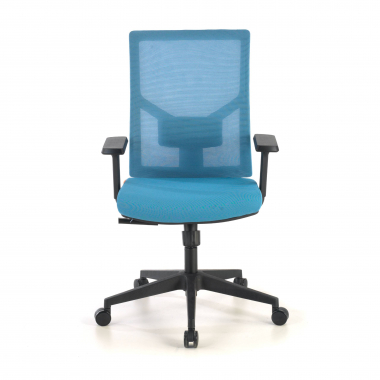 chaise ergonomique bleu structure noire appui tete maille accoudoirs reglables 1d soutien lombaire 4