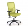Chaise de Bureau Ergonomique Verdi, accoudoirs ajustables, soutien lombaire
