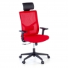 Chaise de Bureau Ergonomique Verdi, accoudoirs ajustables, soutien lombaire