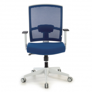 chaise ergonomique blanc bleu structure blanche maille accoudoirs reglables 1d soutien lombaire 4