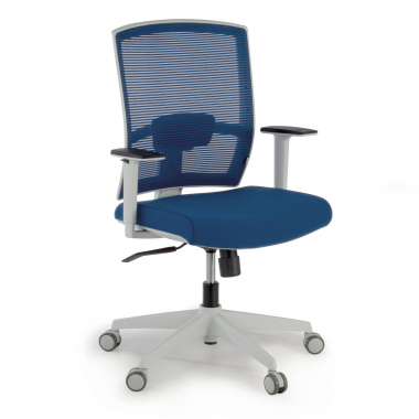 chaise ergonomique blanc bleu structure blanche maille accoudoirs reglables 1d soutien lombaire 1