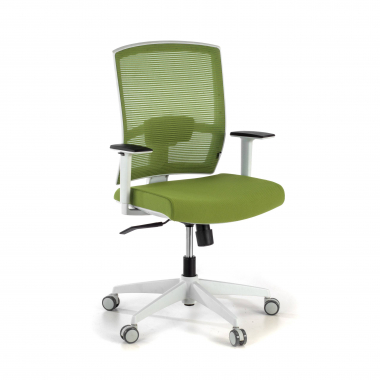 chaise ergonomique blanc vert structure blanche maille accoudoirs reglables 1d soutien lombaire 1