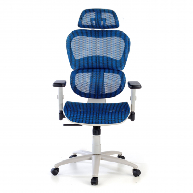 chaise ergonomique blanc bleu structure blanche maille accoudoirs reglables 3d double soutien lombaire appui tete 5