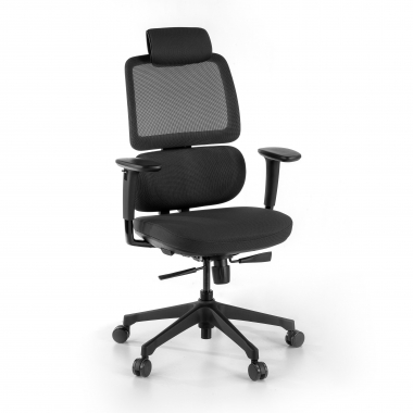 chaise ergonomique noir bjorg maille accoudoirs reglables 3d soutien lombaire appui tete 1