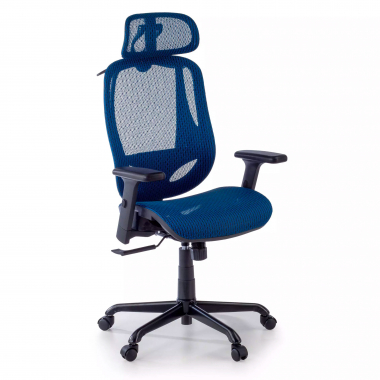 chaise ergonomique bleu locktech maille accoudoirs reglables 1d soutien lombaire appui tete 1