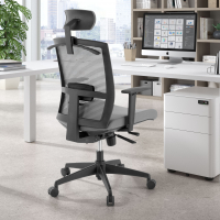 Chaise de bureau ergonomique Akira avec appuie-tête