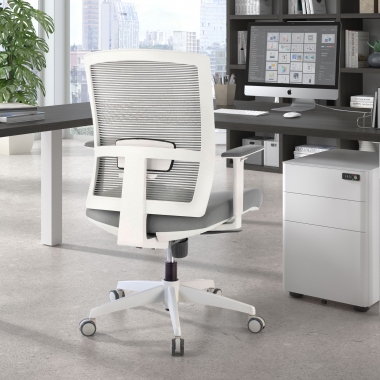 chaise ergonomique blanc gris structure blanche maille accoudoirs reglables 1d soutien lombaire 2
