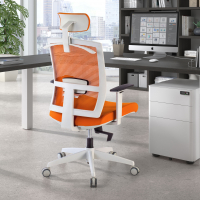 Chaise de Bureau Ergonomique Akira white avec appuie-tête