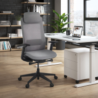 Chaise de Bureau Ergonomique Intouch black, Totalement Ajustable