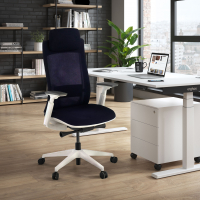 Chaise de Bureau Ergonomique Intouch white, Totalement Ajustable