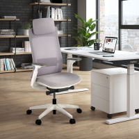 Chaise de Bureau Ergonomique Intouch white, Totalement Ajustable