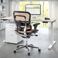 Chaise Ergonomique Ergohuman, modèle premium, aluminium, maille