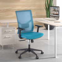 Chaise de Bureau Ergonomique Verdi, accoudoirs ajustables, soutien lombaire